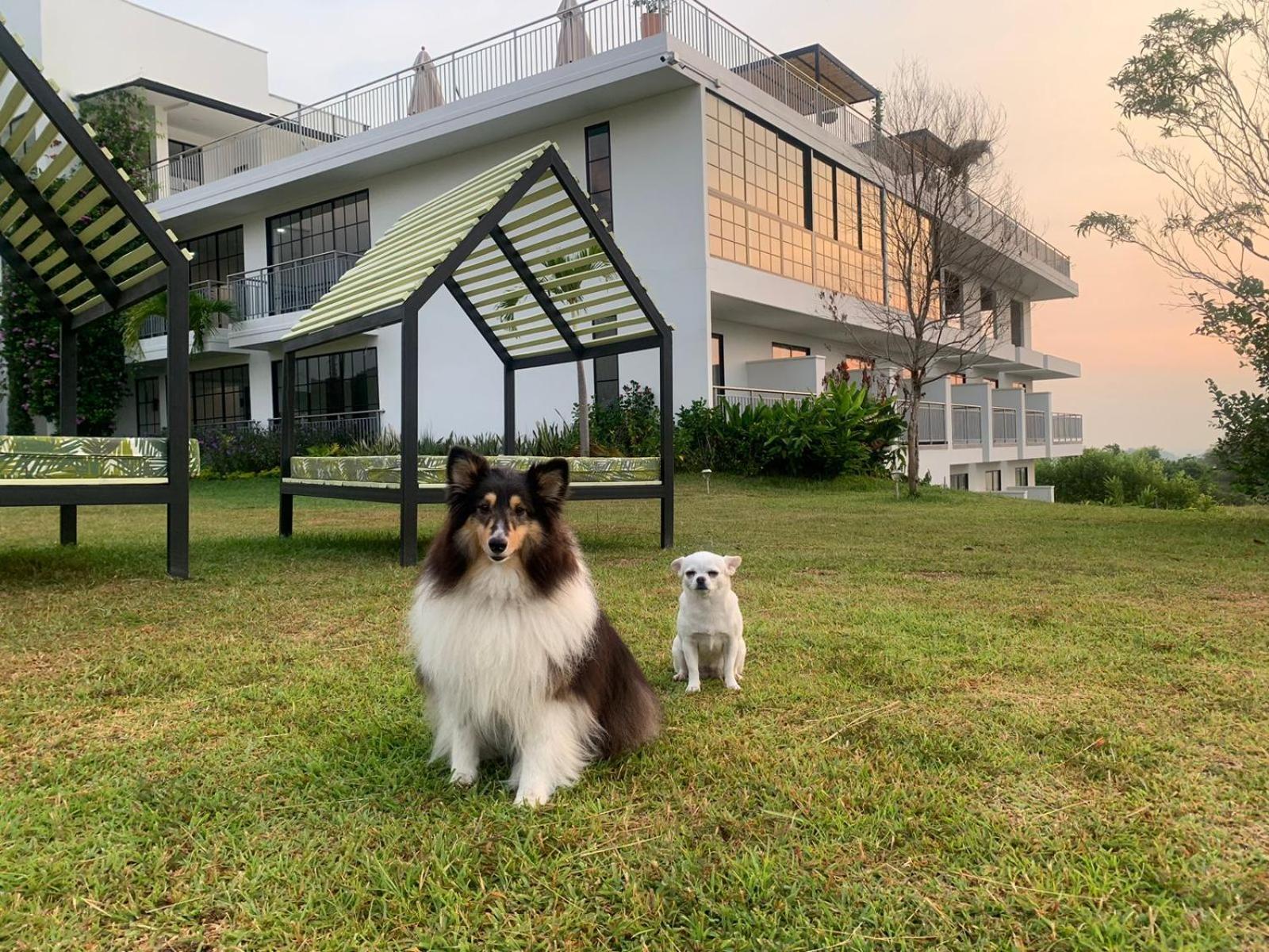 Hotel Arboreo Doradal エクステリア 写真